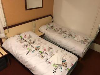 Hôtel Myosotis - Lourdes - 9