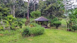 Adventure Cottage - Gopeng - 2