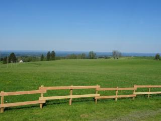 Chalet Chez Picou - 1