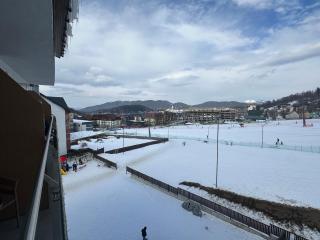 Bakuriani, crystal residence 405 room - 1