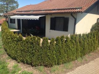 Ferienhaus Nr 81, Kategorie Komfort Plus, Feriendorf Hochbergle, Allgäu - Bichel - 1