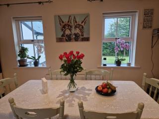 Silvi's Guest House Borris Carlow - - 4