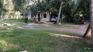 EECS Transit and Budget Homestay - Katunayake - 0