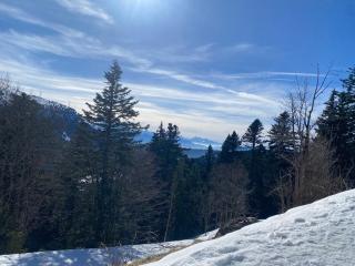 Très élégant duplex, proche Gare - Grenoble - 9