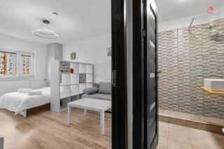 Carlas New Times Flat Tineretului - Bucharest - 9