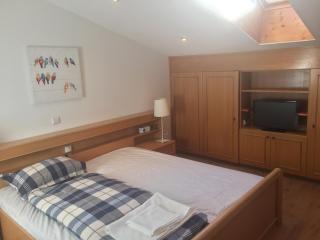 Large spacious apartment, 50m to the ski lift! - 3