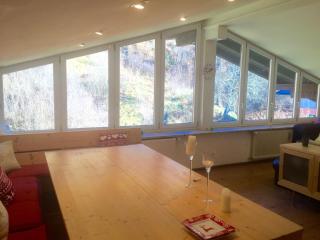 Large spacious apartment, 50m to the ski lift! - 0