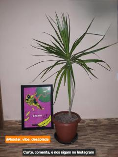 @hostel_vibe_descolada - 2