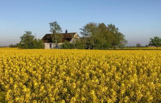 Beautiful Home In Smedstorp With Wifi - 2