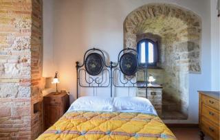 Pet Friendly Apartment - 4