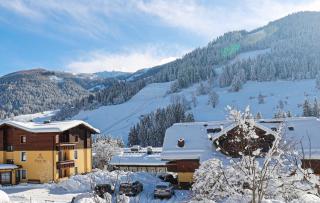 Alpine Spa Residence - Bad Kleinkirchheim - 3