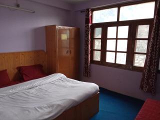 Apple Field House - Manāli - 7