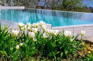 Italian Lakes Apartment 14009 - Lesa - 6