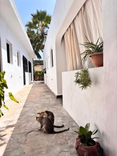 Tembo village Watamu - 6