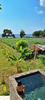 A Mango Tree House with a private swimming pool - Tegallengah - 9