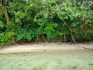 Kafdarun Homestay - - 6