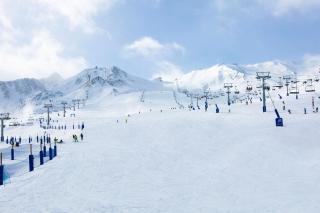 Hotel Camellot by Nexta - 3