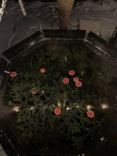 Котедж "У Мадяра" - 3