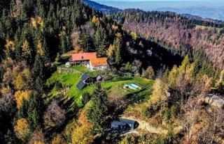 Treehouse Toplak - Ruše - 1