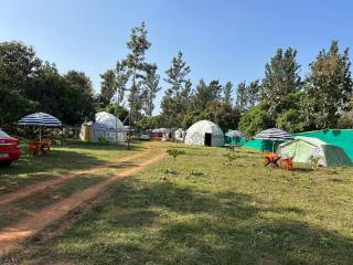 Dome stay nature retreat - Golhalli - 2