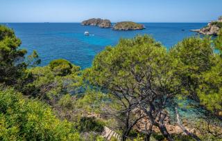 Can Miquel - Santa Ponsa - 4
