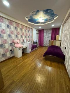 Heydar Aliyev Center Apartment235 - Baku - 4