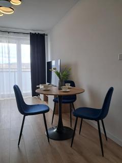 Apartament Aleje Józefa Piłsudskiego - Nowy Sącz - 9