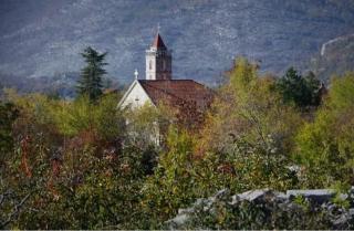 Zatrjebač - Podgorica - 7