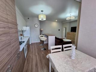 Diplomat Deluxe Apartment - Chişinău - 6