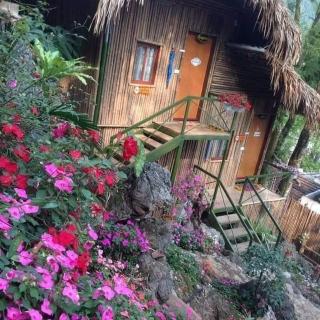 Green Hill Hostel & Tour - Ha Giang - 9