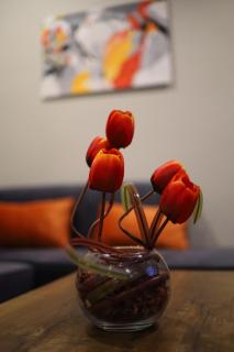 Modern 1BHK Retreat in the Heart of Islamabad - 5