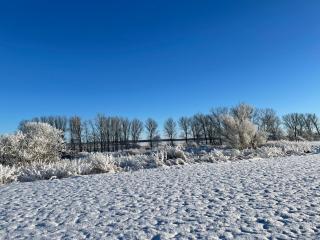 Neu! ULENHUUS Mecklenburgische Schweiz Laage Güstrow Rostock Port Bed and Breakfast - Pension -Ferienhaus - Familienurlaube bis 10 Personen - - 2