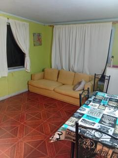 Cisnes del Tolten - 9