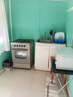 Cisnes del Tolten - 8