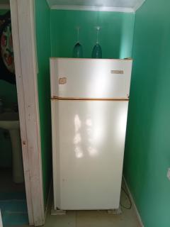 Cisnes del Tolten - 7