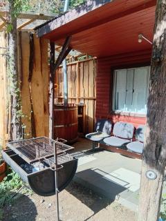 Cisnes del Tolten - 6