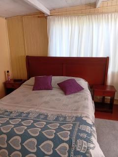 Cisnes del Tolten - 5