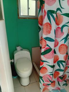 Cisnes del Tolten - 3