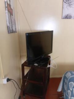 Cisnes del Tolten - 2