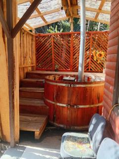 Cisnes del Tolten - 1