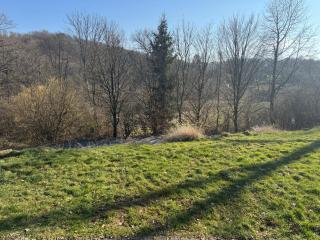 Ferienwohnung Thiel - Much - 0