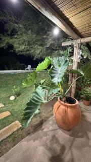 ''Las Anas'' Casa de Campo - 3