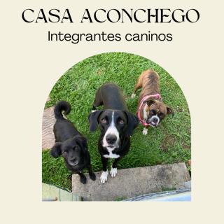 Quarto Aconchego 345 ao lado Alles Park - 6