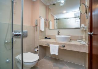 Anemon Grand Eskişehir Otel - 1