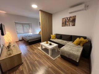 Vlasic Apartmani LENA - Vršac - 0
