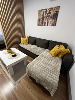 Vlasic Apartmani LENA - Vršac - 8