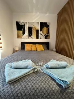 Vlasic Apartmani LENA - Vršac - 6