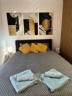 Vlasic Apartmani LENA - Vršac - 3
