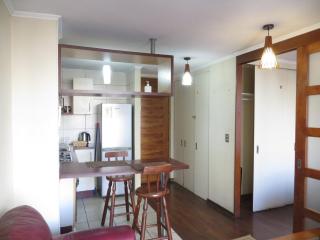 Departamento hermoso y seguridad a metros de Providencia - 7