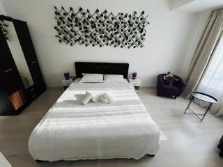 Calea Victoriei Chic Stay - 1